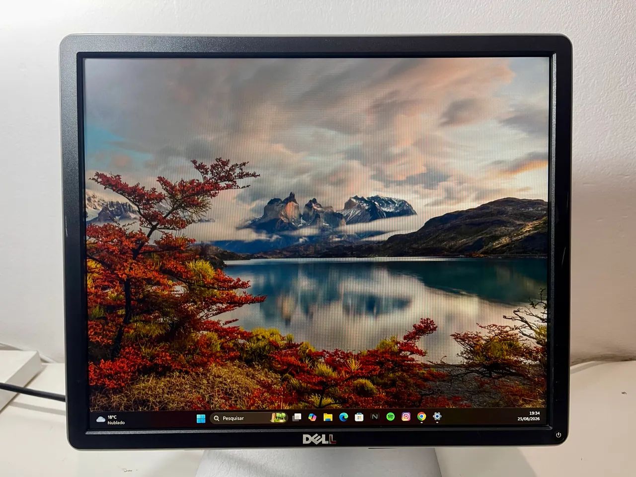 Monitor Dell 19 polegadas IPS