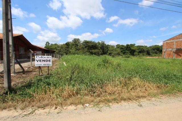 Terreno à venda em Parque residencial cerro azul, Araquari cod:768 - Foto 4