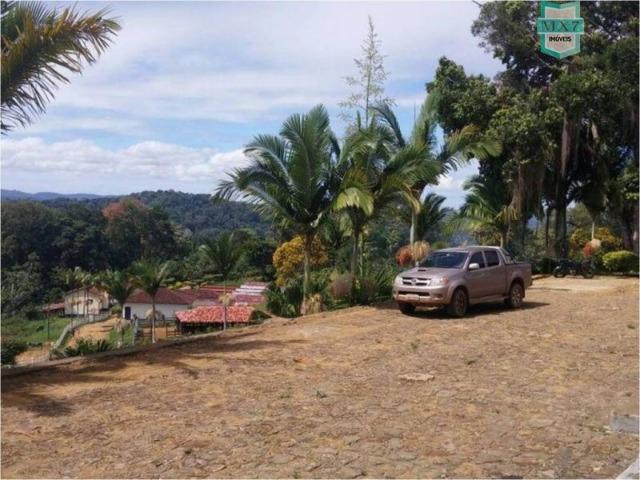 Aiquara . Ótima fazenda produtora de cacau - Foto 9