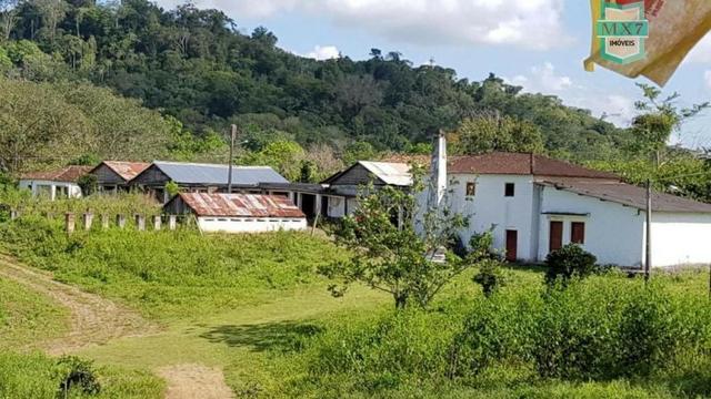 Ubaitaba. Fazenda de 450 Hectares, produção de cacau e gado, completa infraestrutura.