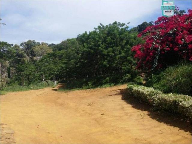 Aiquara . Ótima fazenda produtora de cacau - Foto 17