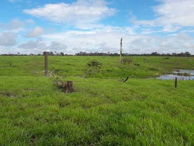 Imperdível fazenda em Roraima Caroebe - Foto 4