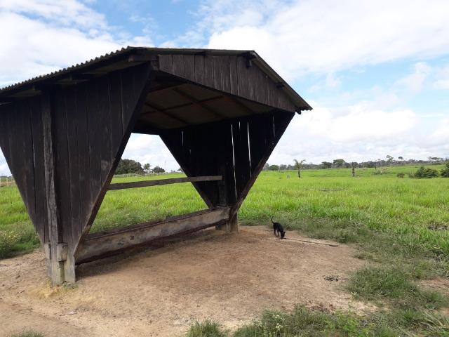 Imperdível fazenda em Roraima Caroebe - Foto 9