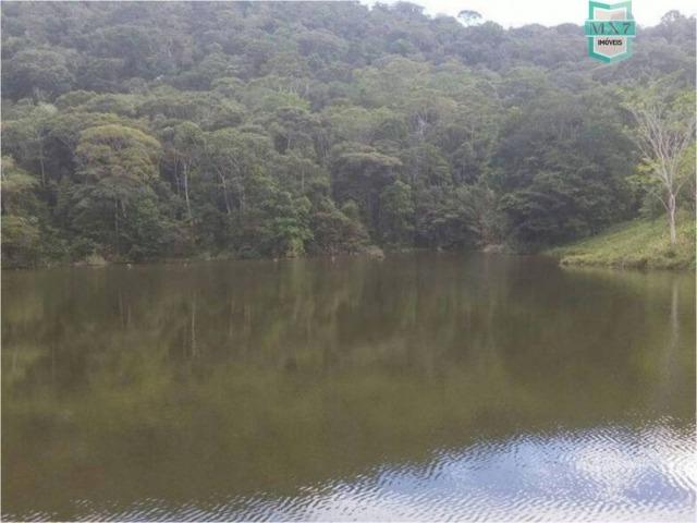 Aiquara . Ótima fazenda produtora de cacau - Foto 16