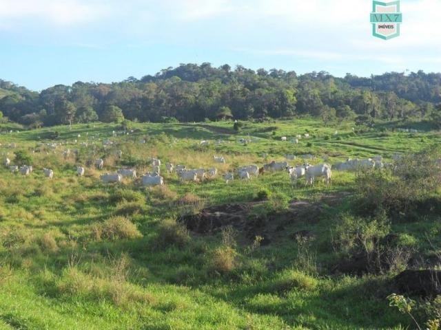 Fazenda em Ubaitaba de 430 Hectares, para gado e cacau. Próximo a Gongogi - Foto 16