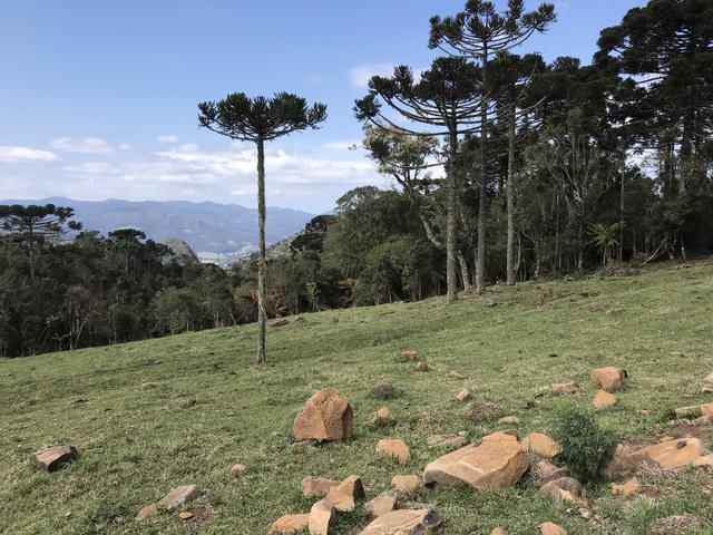 Chacara Urubici - Foto 3