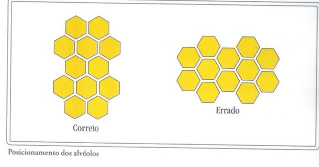 Cera Alveolada Pura - Foto 6