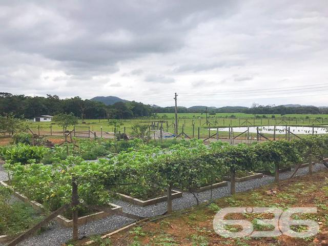 Chácara à venda com 3 dormitórios em Vila nova, Joinville cod:01028884 - Foto 7