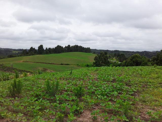 T-AR0032- Área à venda, 852.244 m² por R$ 35.500.000 - PR 423 - Campo Largo/PR - Foto 3