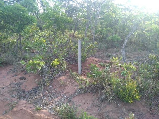 Terreno de esquina no Atlântico - Foto 5