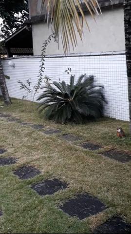 Vendo casa em Cabo Frio (unamar ) - Foto 20