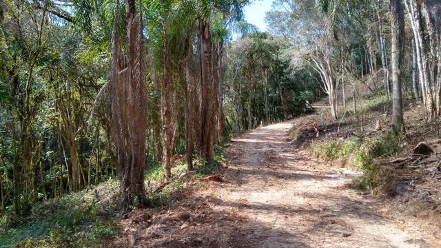 Terra para formação Chacara Campo Largo com luz- 35Km Curitiba - Foto 3