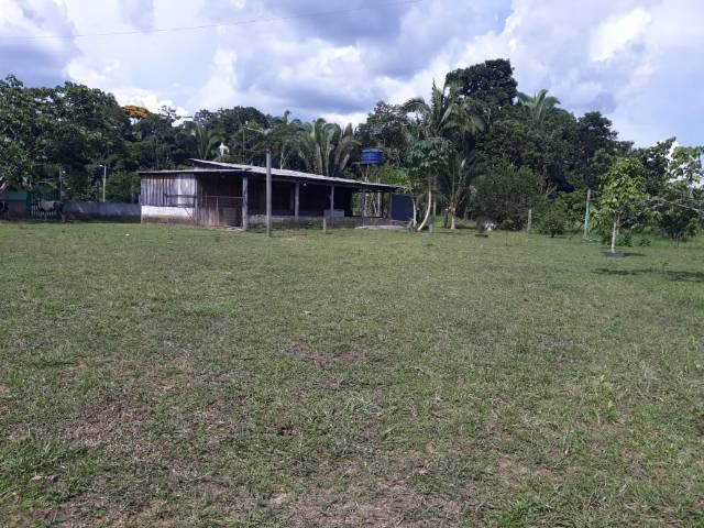 Preciso de um Sr.pra mora em um sítio