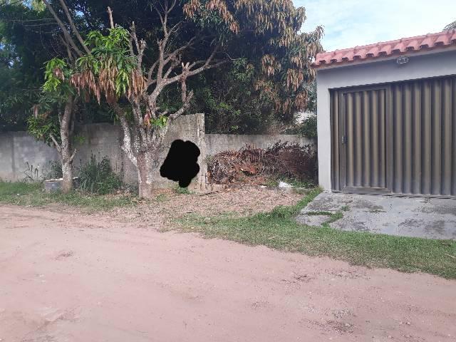 Elisângela - Foto 2