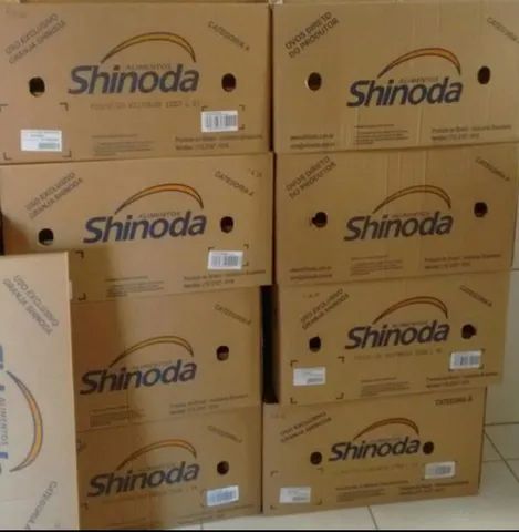 Caixa de Papelão Resistente Pronta Entrega R$ 4,00 - Foto 2