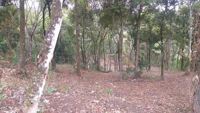 Estrada Saraiva em Betim - Chácara Ótima Localização.- R$390.000,00 - Foto 8