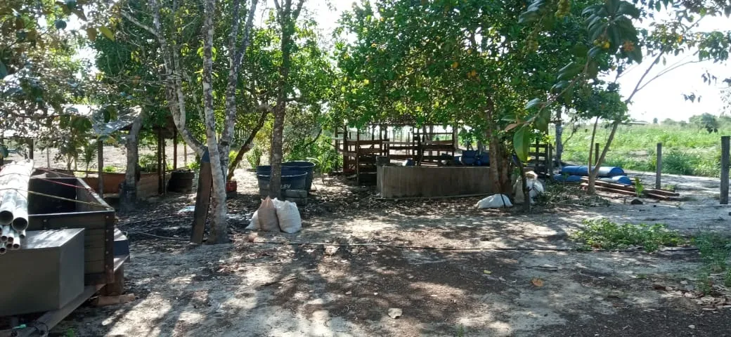 62 hectares fazendinha pronta com confinamento por 1.200.000