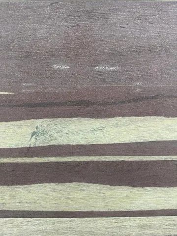 Porcelanato Incepa A Extra Amadeirado Régua - Foto 6