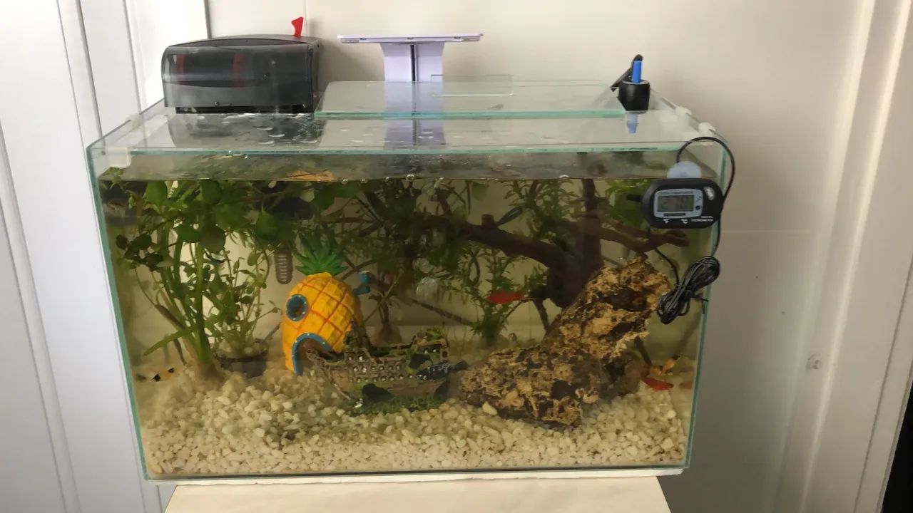 Aquário de 26 litros em ótimo estado