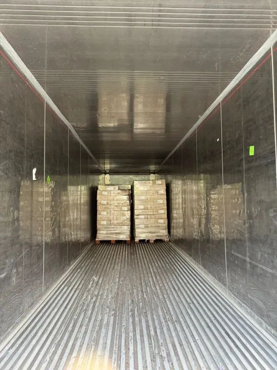 Vendo Container Frigorífico Refrigerado CARRIER  -30°C- 40 pés (12 metros) - Foto 3