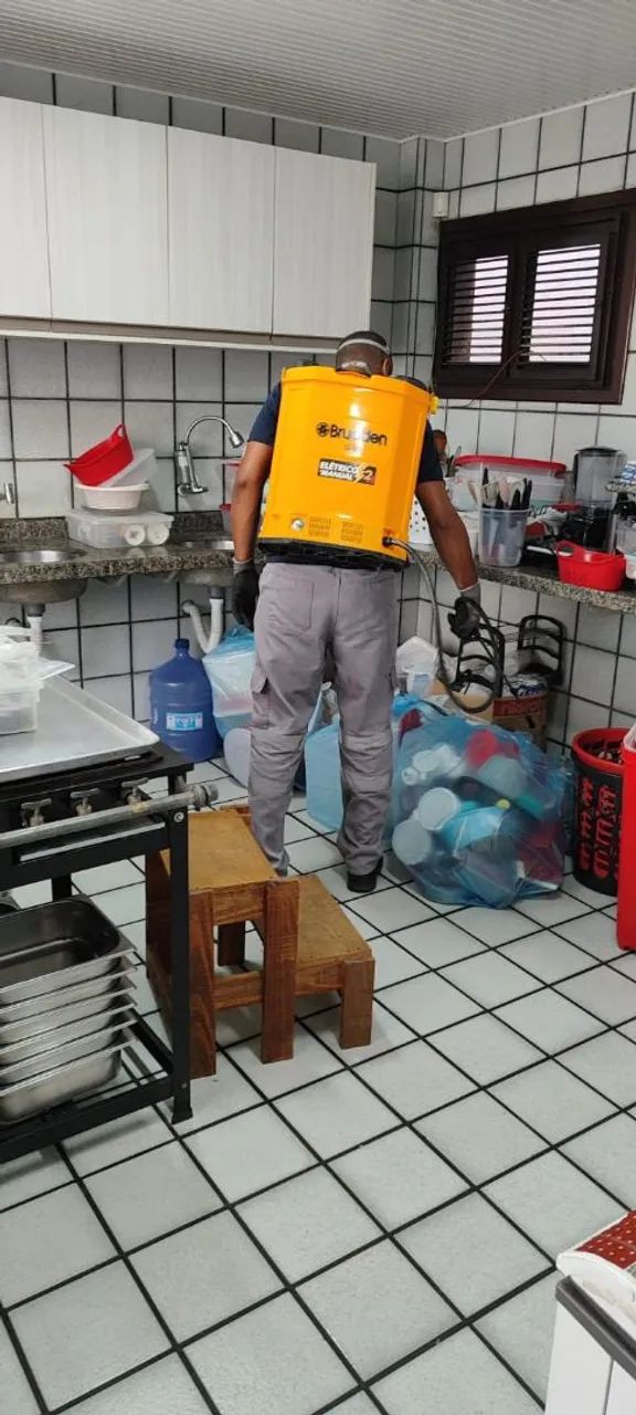 Serviços de dedetização  - Foto 2