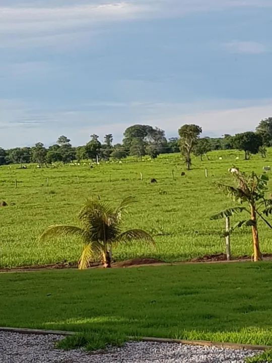Oportunidade! Vende-se uma excelente fazenda!