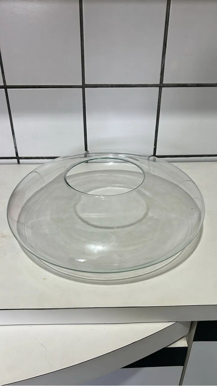 VENDO FRUTEIRA E VASO  - Foto 2
