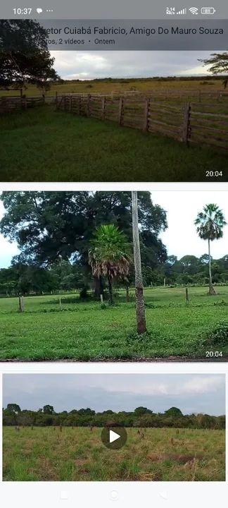 Fazenda de arrendamento 1.200 hec em Itiquira MT. Grade combinar  - Foto 2