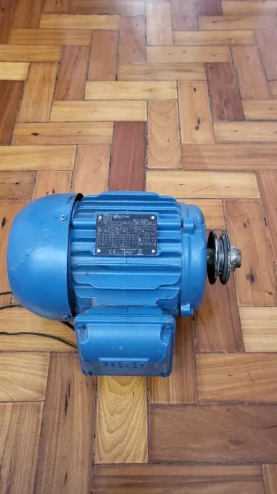 Motor elétrico trifásico com eixo chavetado