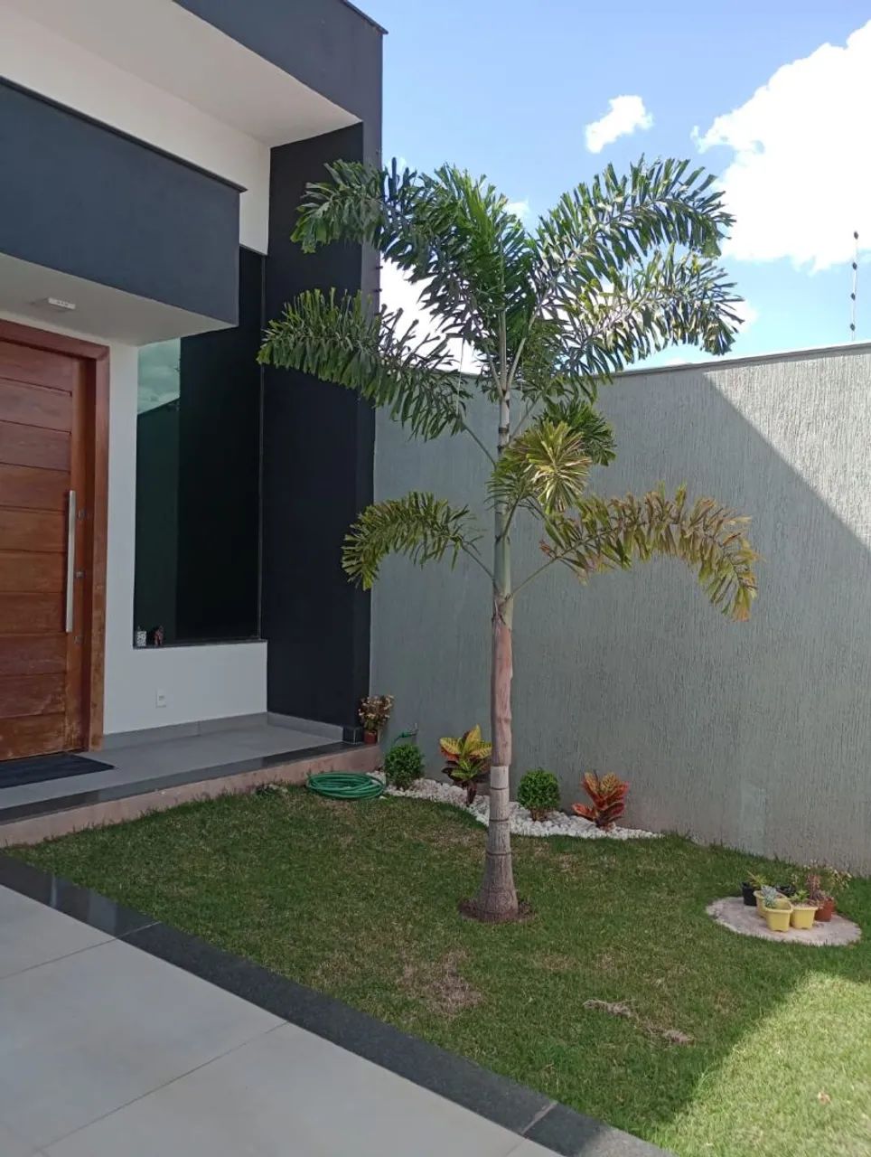 Foto - Goiânia - Goiânia 2