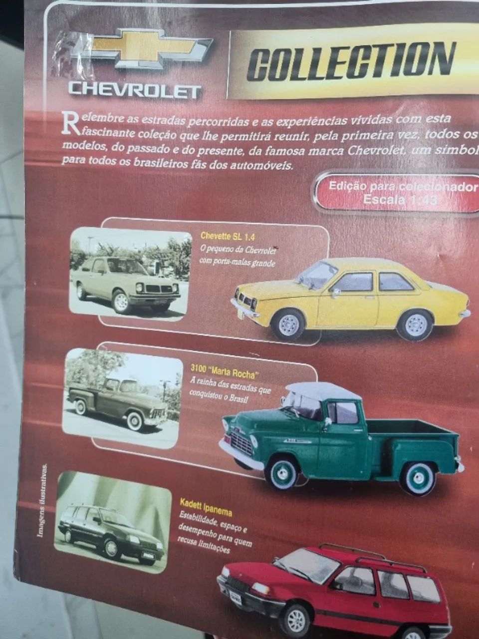 Revista - Foto 5