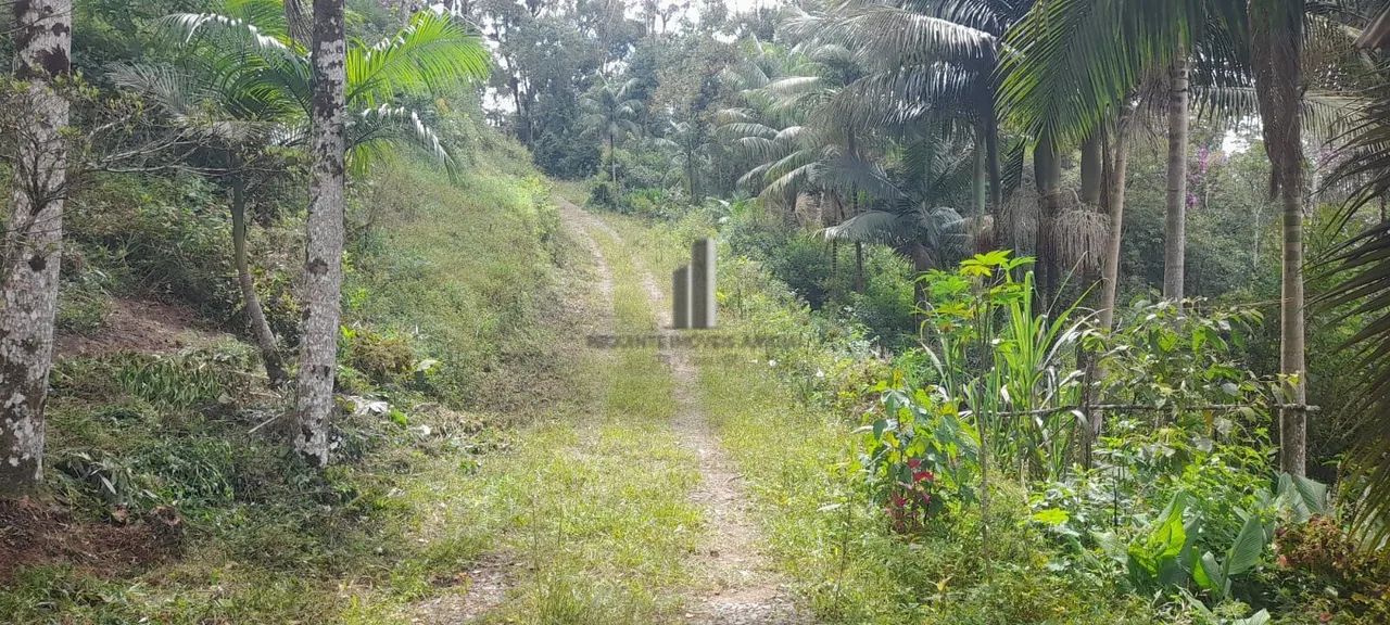 SÍTIO NO MUNICÍPIO DE TAPIRAÍ SP. VENDA - Foto 2
