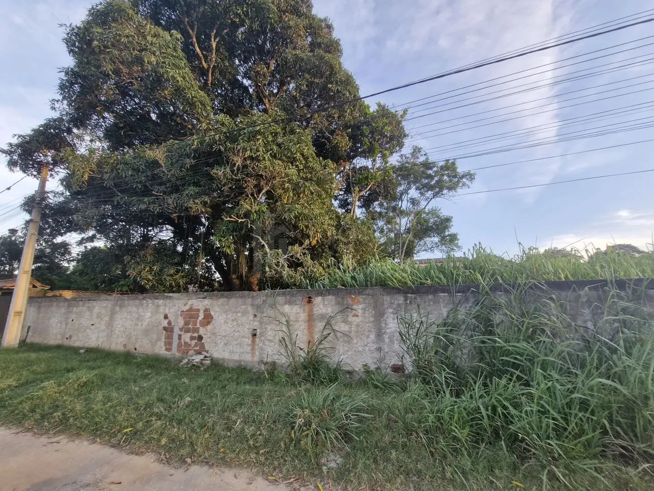 Terreno murado à venda Rio do Limão, Araruama/RJ