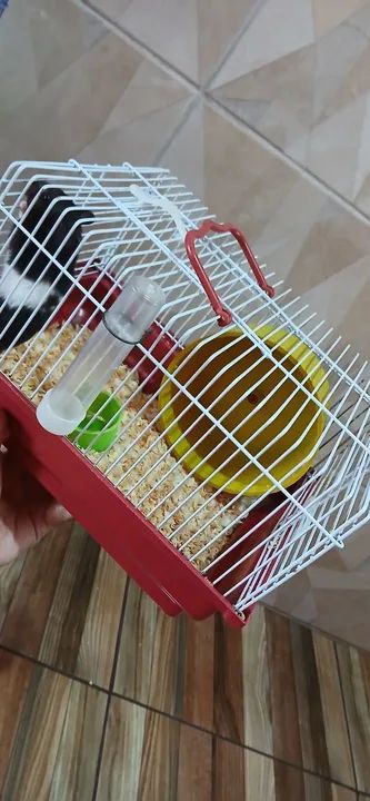 2 Gaiolas para 2 Hamsters com Acessórios - Foto 3