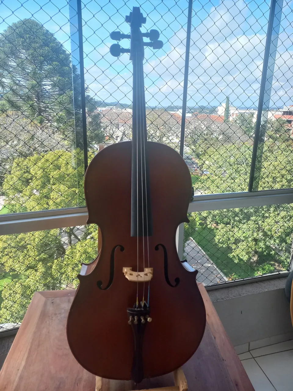 Violoncelo em perfeito estado