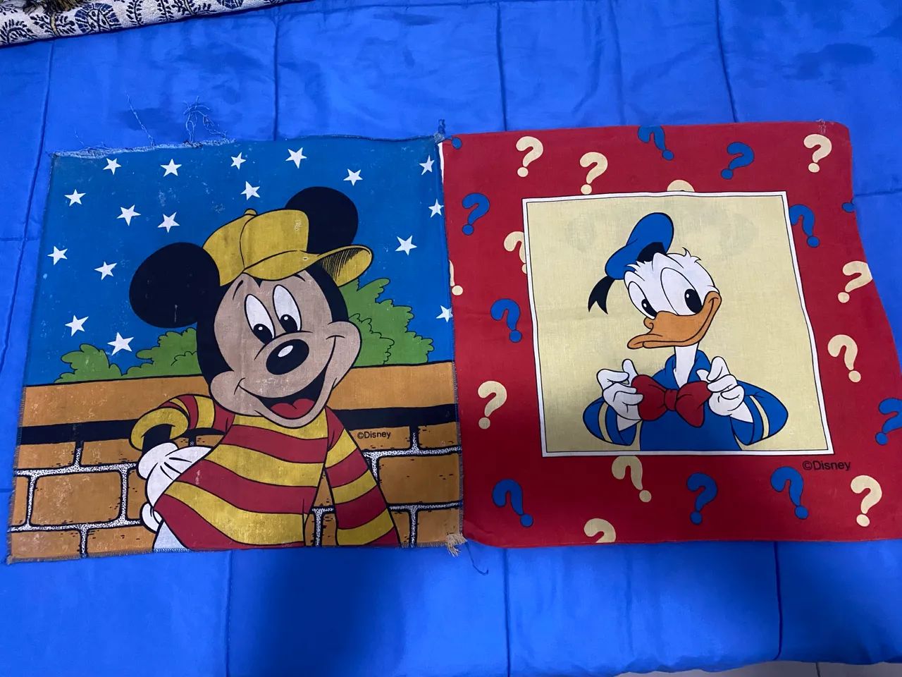 2 capas de almofada Disney