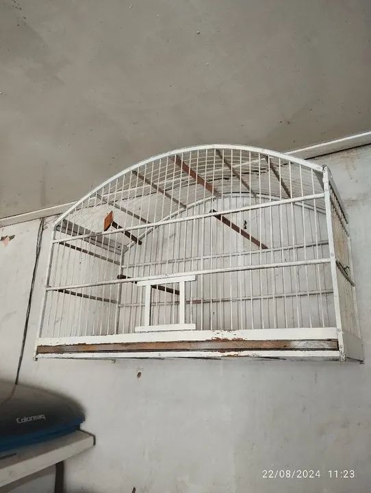 Vendo  estas gaiolas e  viveiro  - Foto 5