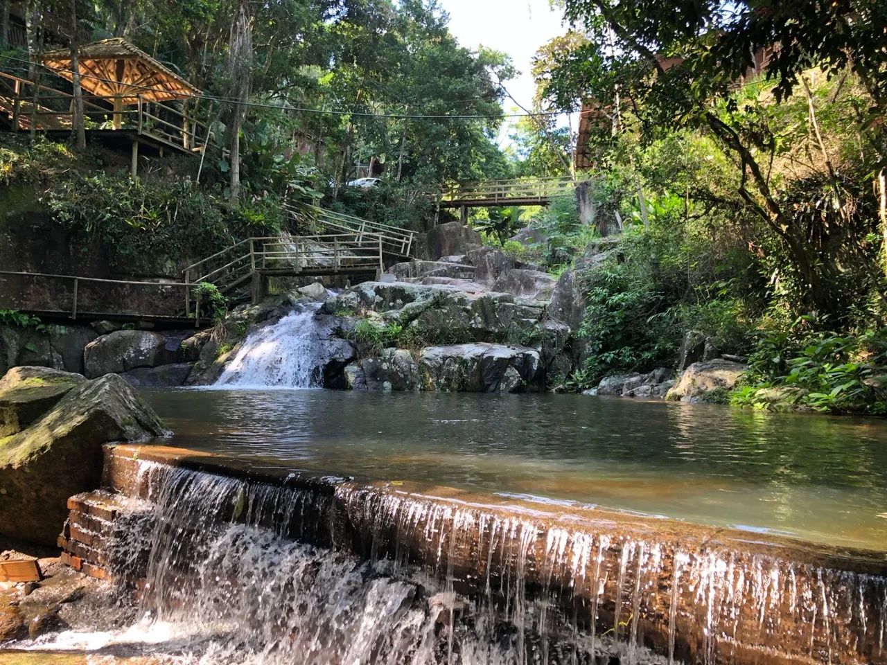 Foto - Tubarão - Humaitá de Cima