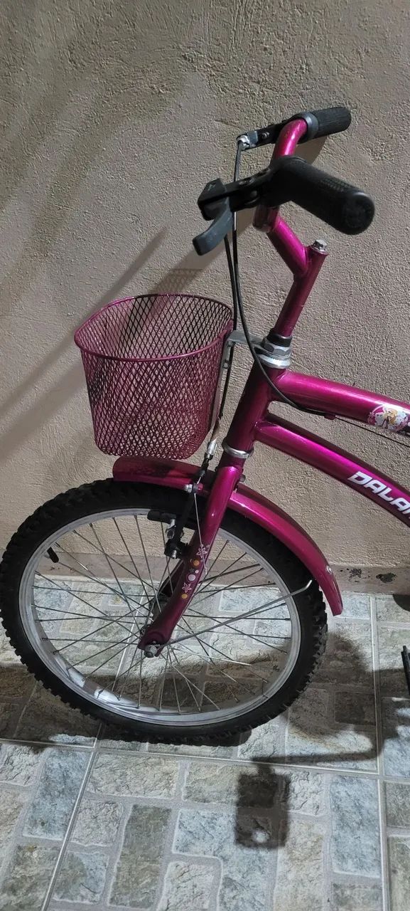 Bicicleta Infantil Dalannio Susi - Foto 2