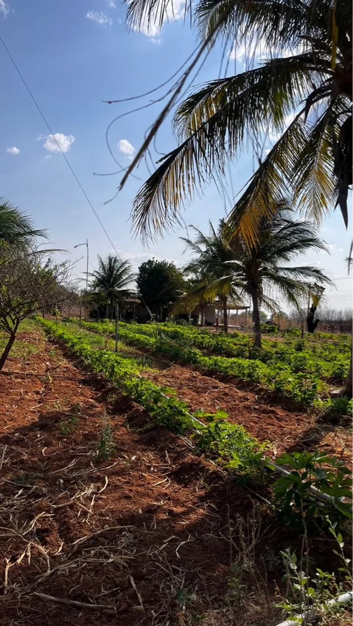 Vende-se este Sitio / Terreno / Roça em São João do Piauí - Lagoa da Serra  - Foto 3