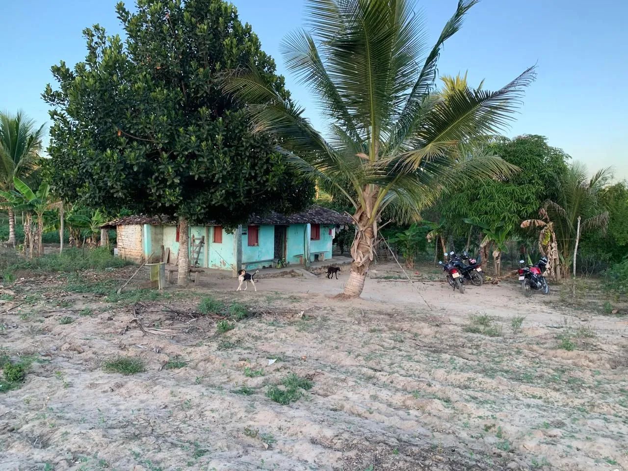 Sítio em catu com árvores frutíferas - Foto 5