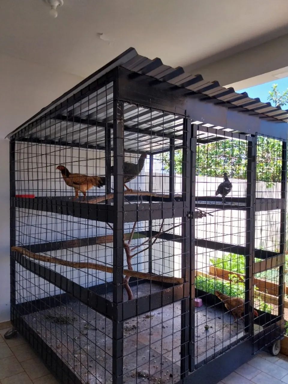 Viveiro grande  - Foto 3