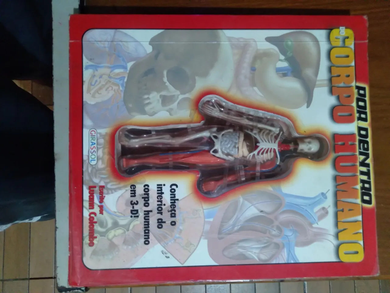 Modelo Anatômico do Corpo Humano 3D
