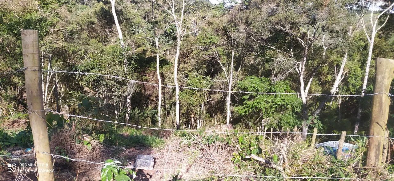 Terreno campo do coelho  - Foto 4
