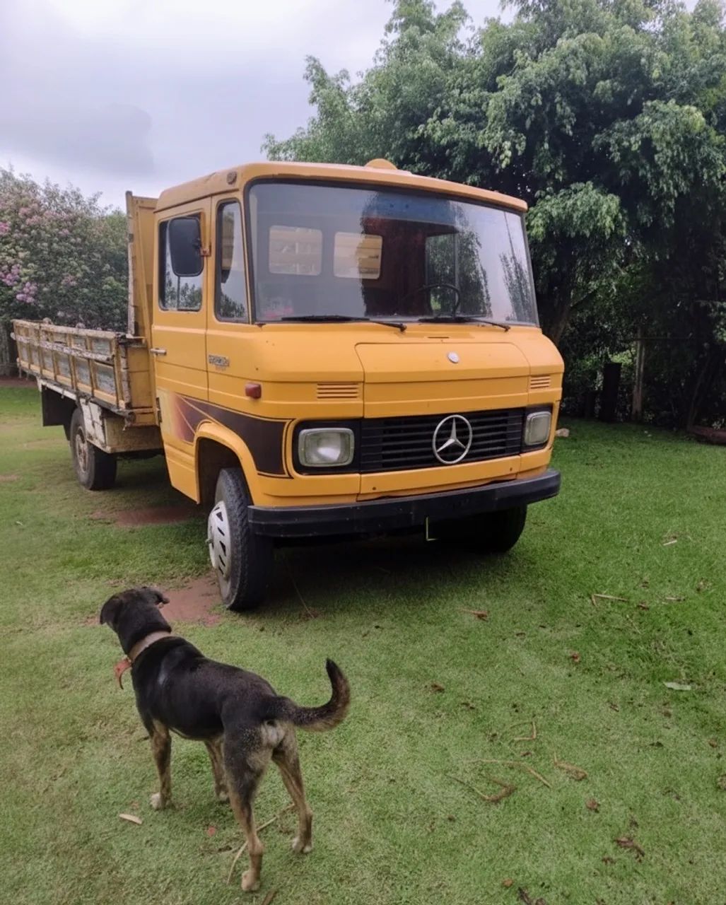 Caminhão 608D Ano 1984 - Foto 4