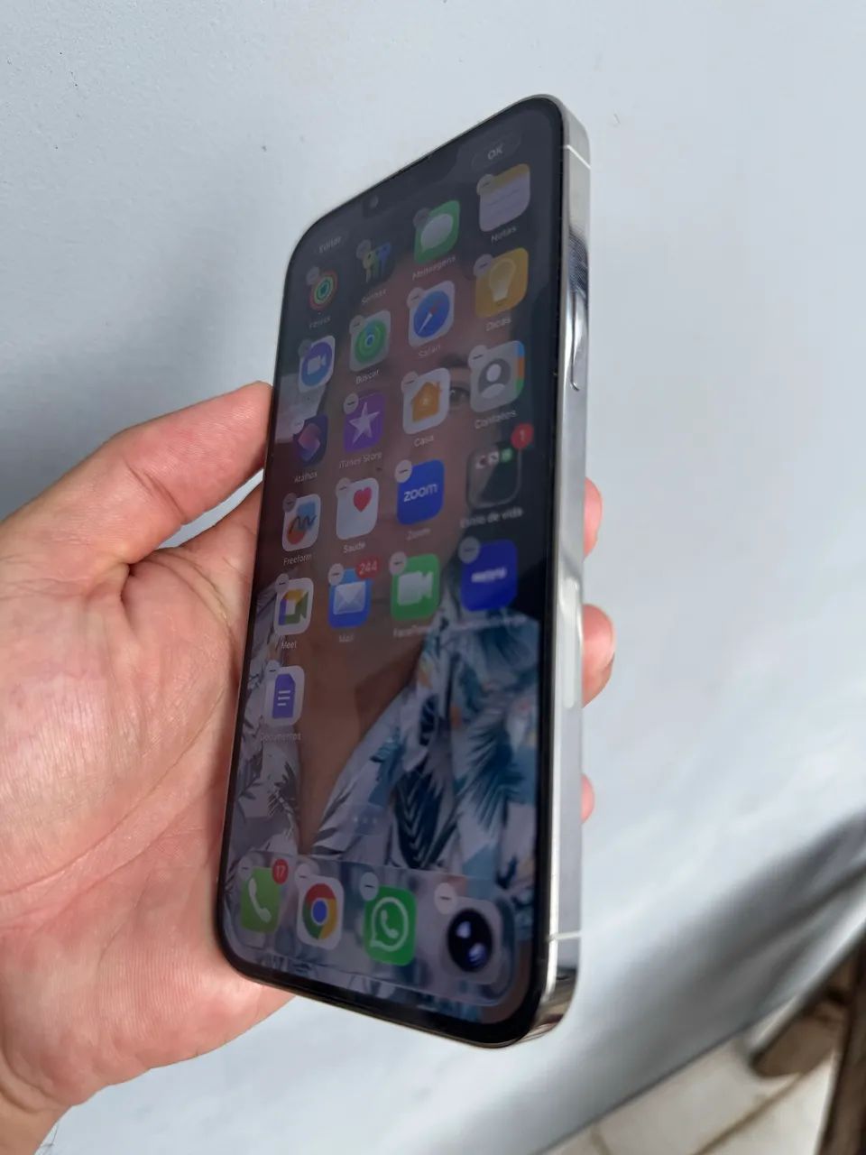 IPHONE 13 PRO MAX - Celulares e Smartphones - Jardim de Maria