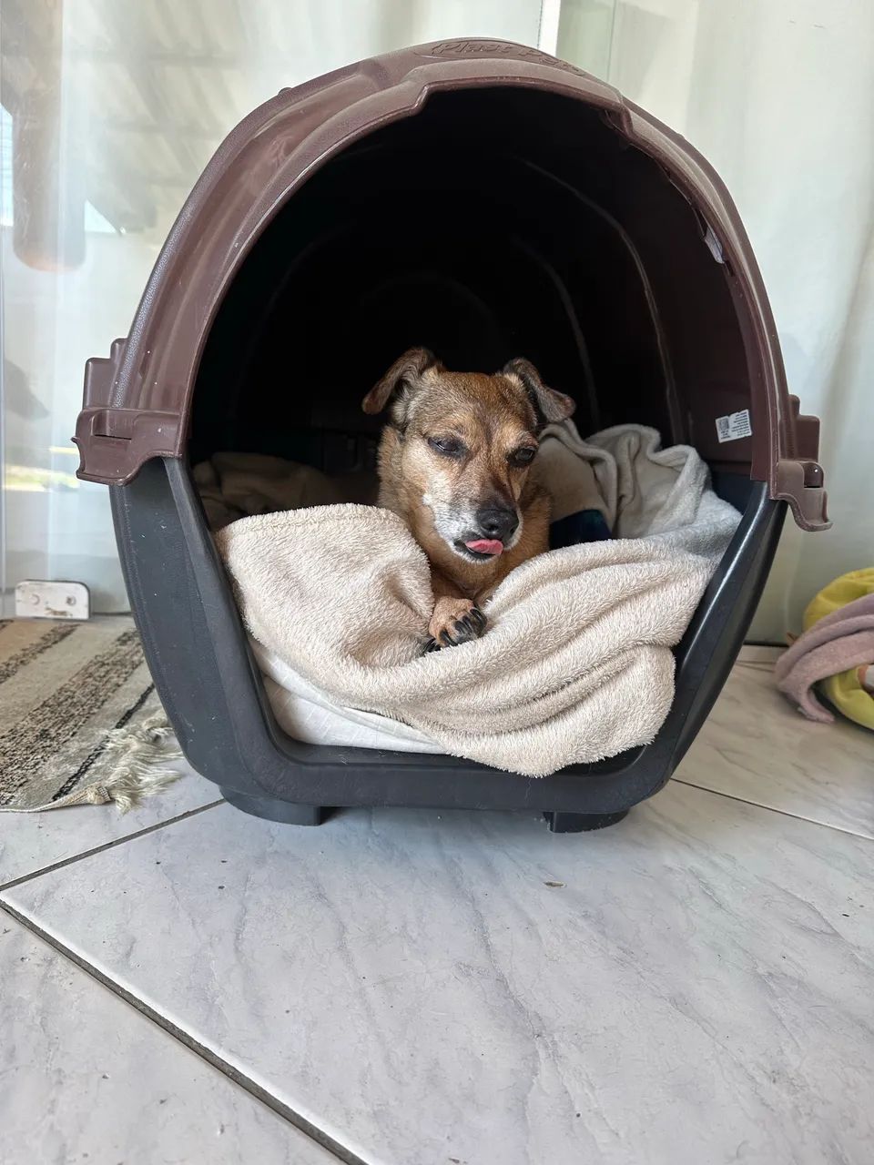 CASINHA PARA CACHORRO PEQUENO - Foto 2