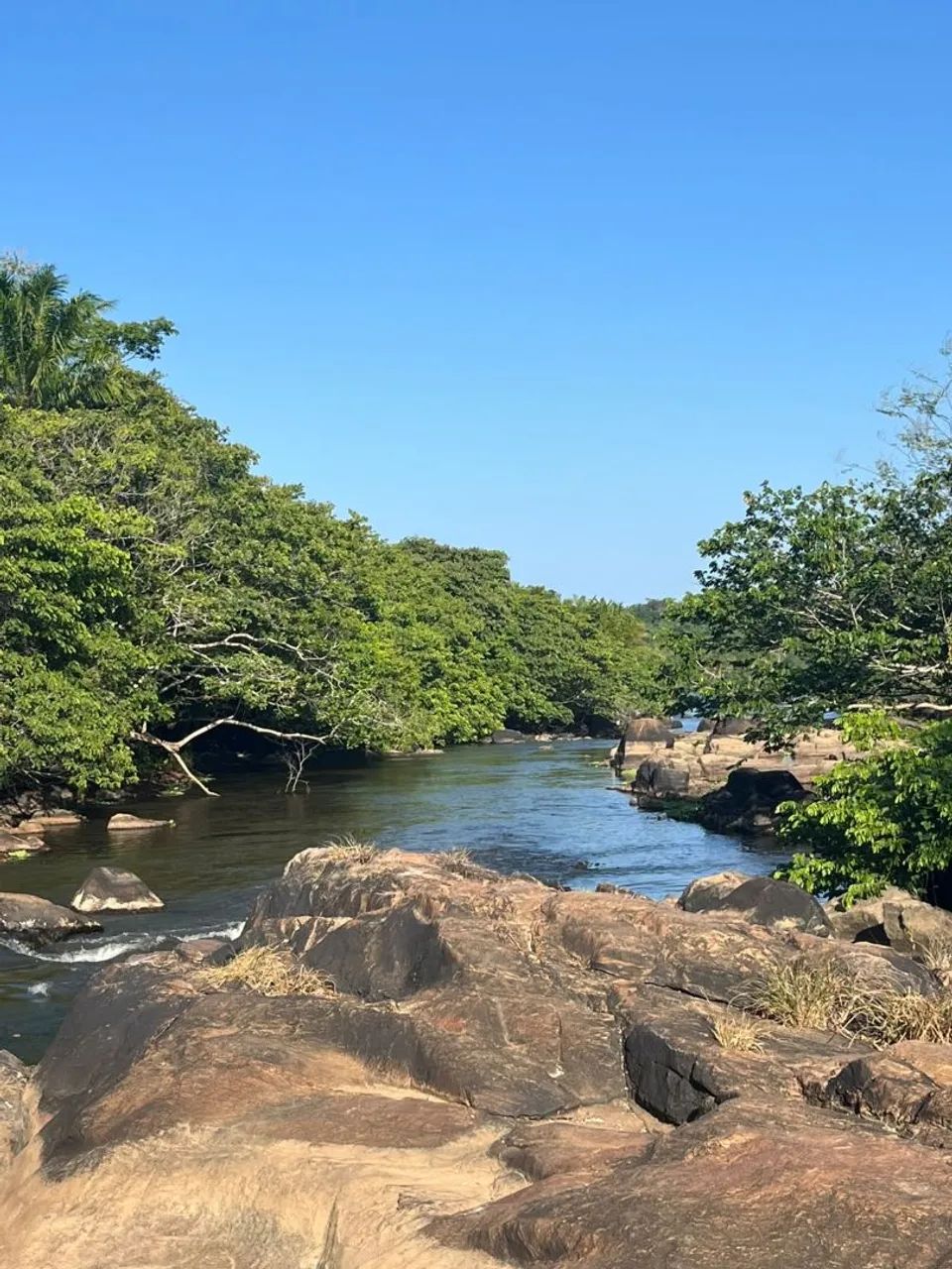 Vende-se Sitio em Barra de Pojuca - Foto 4