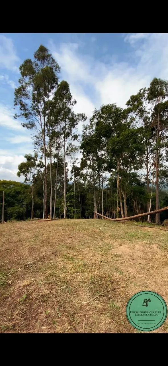 Lotes, tipo mini sítios, condomínio fechado