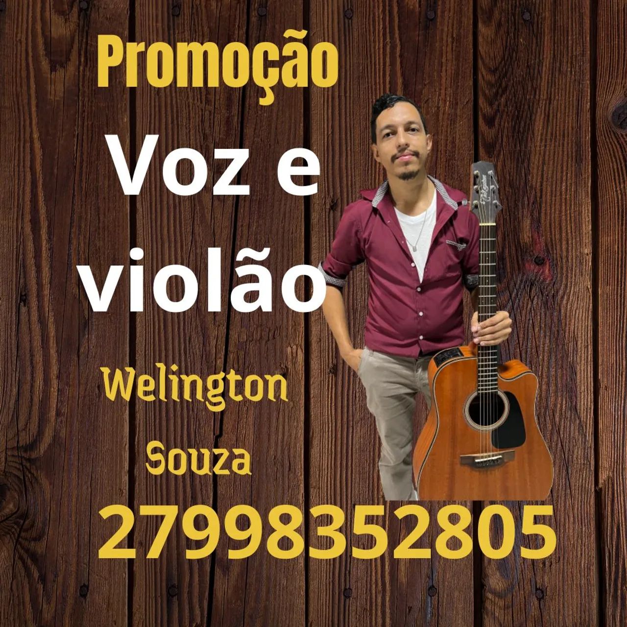 Voz e Violão ZAP *